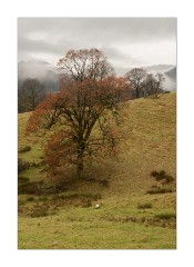 Helm Craig View