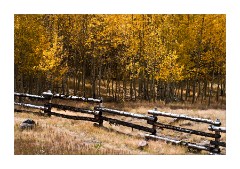 Aspens Silver Thread highway