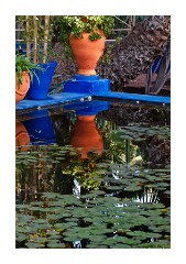 The Marjorelle Water Garden