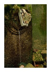 A Trickle of Water
