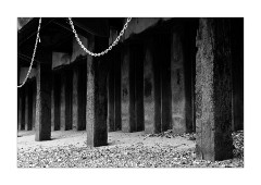 Edge of the River 2