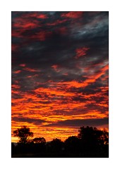 Sunrise Mormon Row