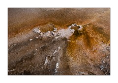 Bacterial Mats 7