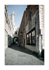 Blind Donkey Street