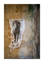 Tattered Notice