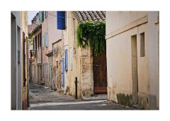 Local Street