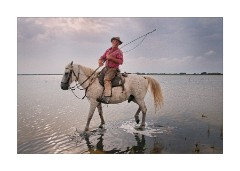 Head Rider