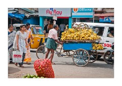 Busy Street