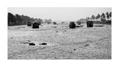 Fleet of Houseboats