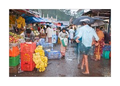 Market Shopping