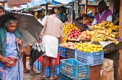 The Evening Market