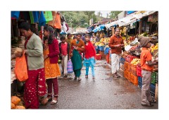 The Market