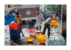 Unloading the Fish