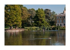 The Lake