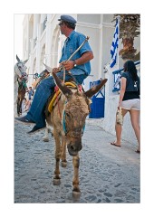 A Donkey Train