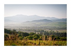 Misty View near San Quirico d'Orcia