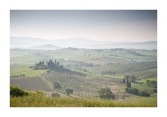 The Belvedere