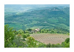 View from Vignoni