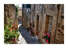 Tuscan Village Street