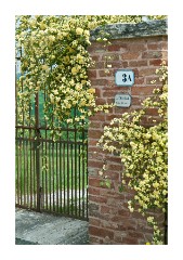 Colourful Gateway