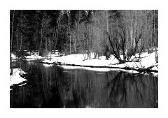 River with Reflections