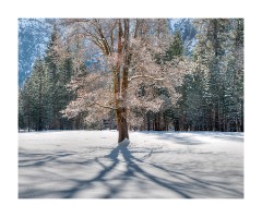 01 Yosemite