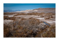 Salt Creek