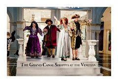 Show at Venice