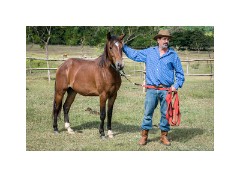 Trinidad Countryside Cuba 13  The Horse Whisperer training a new Horse