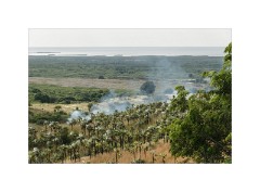 Trinidad Countryside Cuba 58  Mirador Viewpoint -  Bushes on Fire
