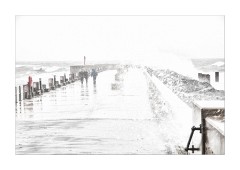 High Tide West Bay