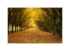 Anglesey Abbey 01