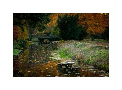 Anglesey Abbey 12  The River