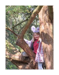 Anglesey Abbey Jess in one of Many Trees