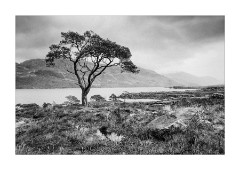 Early Morning Cloud Covering Slioch and Beinn Airigh Charr