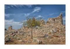 Pergamon 08