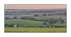 Dorset in Spring 35  Evening Light on the hills