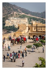 Jaipur  36  Amber Fort