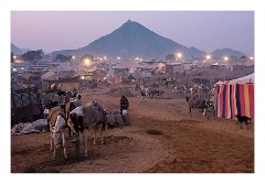 Pushkar 19  Pushkar Camel Fair - we are now the otherside of the hill shown when we were at the The Brahma Ghat on Pushkar Lake