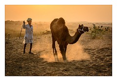 Pushkar 77  Evening at the Pushkar Camel Fair