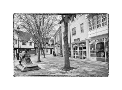 Ipswich 11