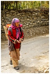 26 Leh to Nubra Dessert and Back  Woman Bringing the Sea Buckthorn Berries to the Juice Factory