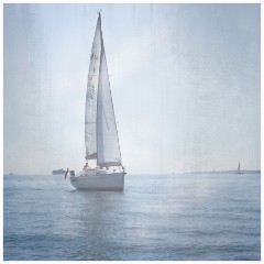 Family in August 24  The Solent