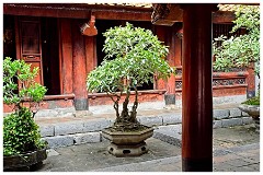 Hanoi Day 1 25  Temple of Literature