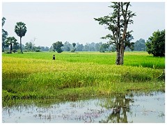 Siem Reap Day Two 02  Journey to the Hidden Jungle Temple by Ox Cart