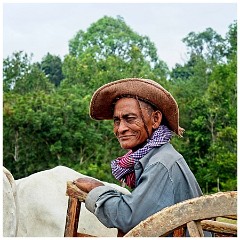 Siem Reap Day Two 05  Ox Cart Driver