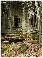 Siem Reap Day Two 08  Hidden Jungle Temple