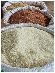 Siem Reap Day Four 03  Variety of Different Rice