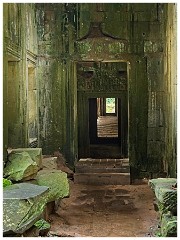 Siem Reap Day Four 20  La Prohm Temple