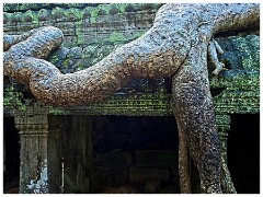 Siem Reap Day Four 30  La Prohm Temple